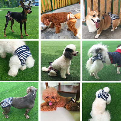 Shorts Dog Pants – Comfort and Style for Your Pet