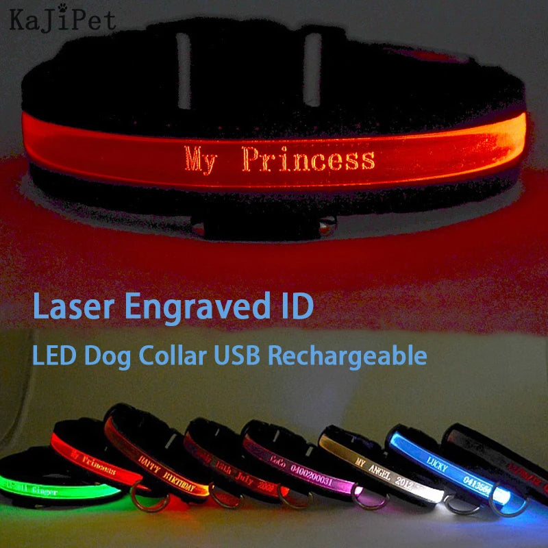 NotionPet™ LED USB Rechargeable Safety Collar – Keep Your Dog Safe and Visible Anytime