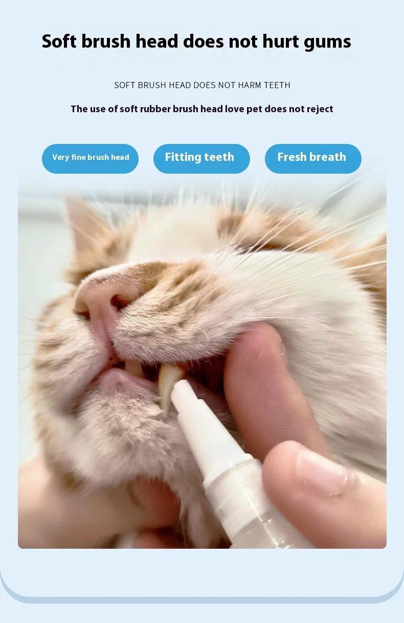 One Easy-to-Use Cat Toothbrush – Gentle Dental Care for Your Cat