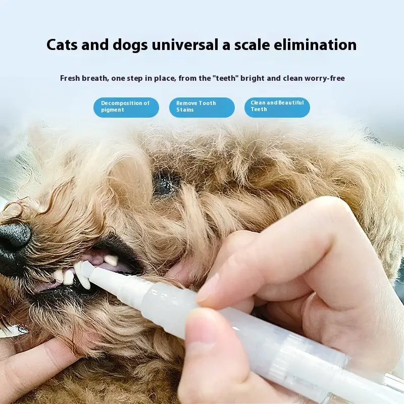 One Easy-to-Use Cat Toothbrush – Gentle Dental Care for Your Cat