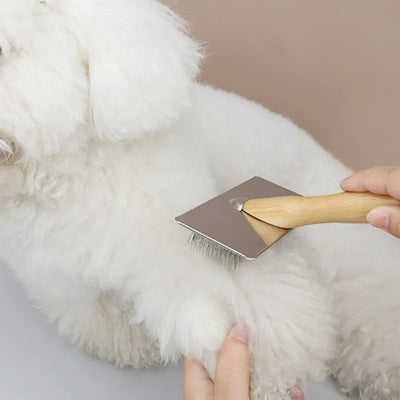 Solid Wood Dog Brush and Cat Hair Knot Remover