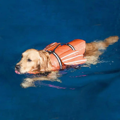 Washable Dog Swim Jacket – Keep Your Pet Safe and Comfortable in the Water