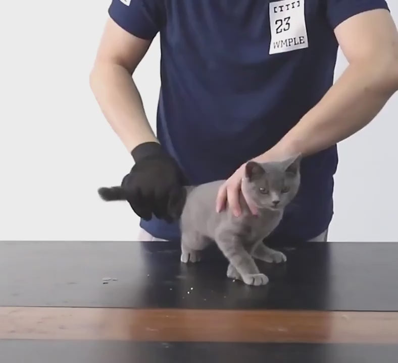 Multipurpose Pet Grooming Gloves